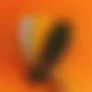 Orthopedische inlegzolen met massagepunten | STEPEASE