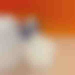 Hielkussen voor minder hielpijn | STEPHEEL